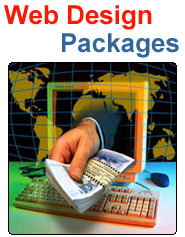 Offshore software development and ecommerce design 