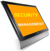IT Outsourcing: custom software development, website design
