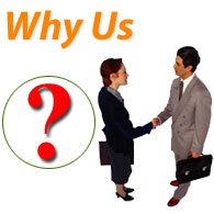 custom programming, online marketing, and hosting services