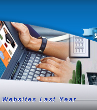 Website designing & e-commerce software development in USA